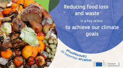 Reducing food loss and waste